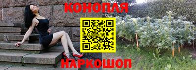 прущие грибы Тулун