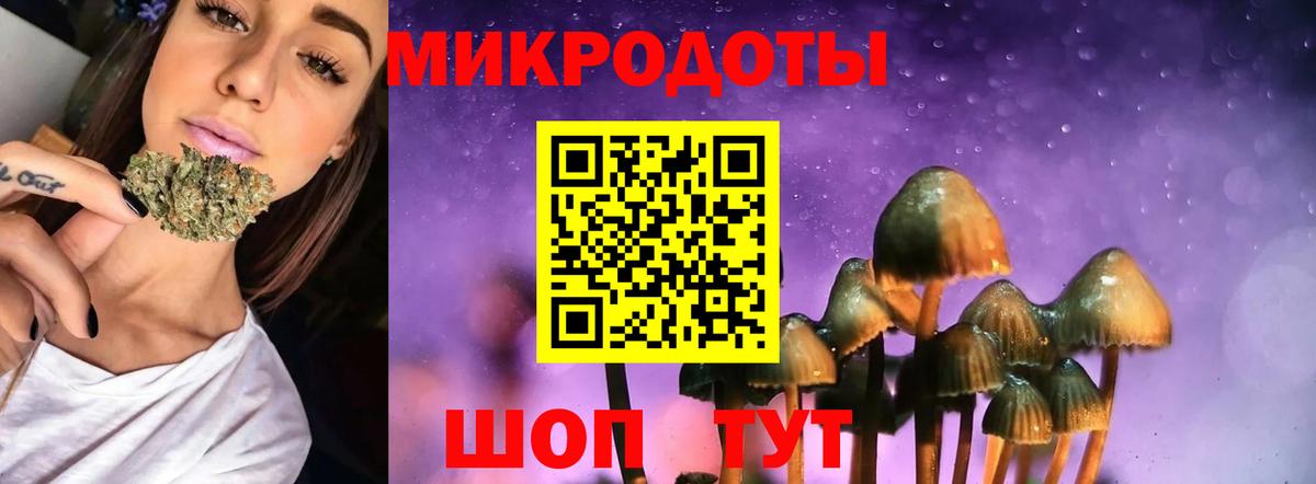 Псилоцибиновые грибы мухоморы  цены   Богданович  Вход с VPN 